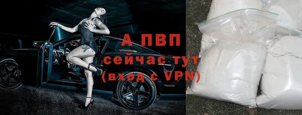 герыч Пересвет