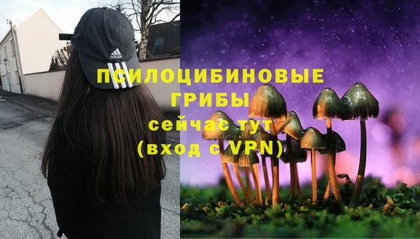 не бодяженный Переславль-Залесский